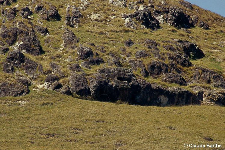 image15