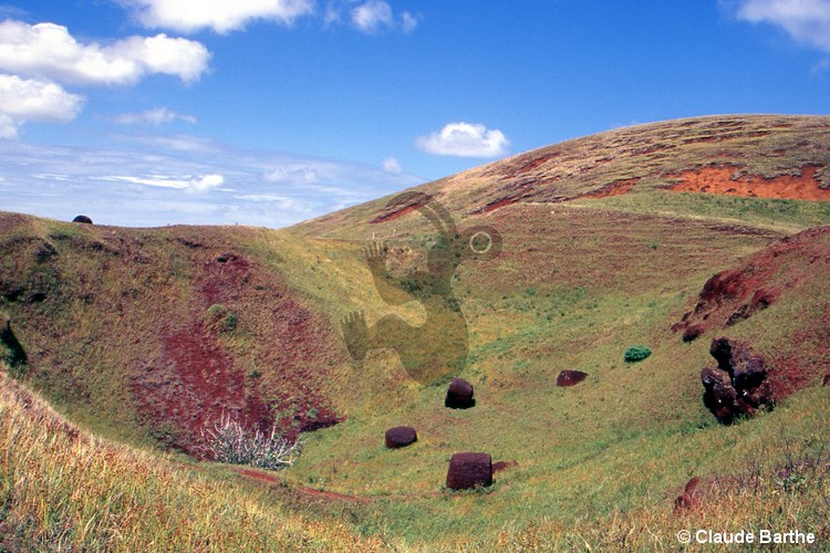 image14