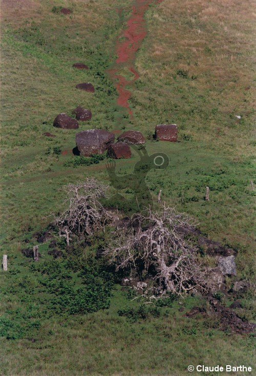 image05