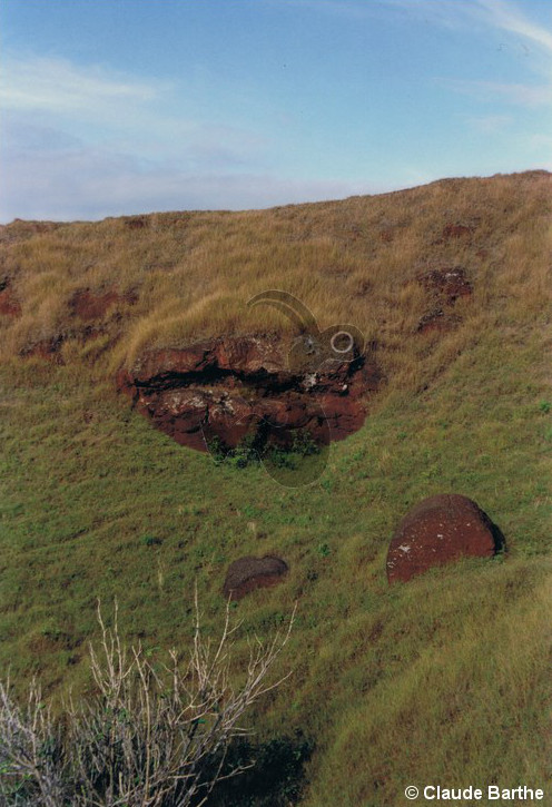 image17
