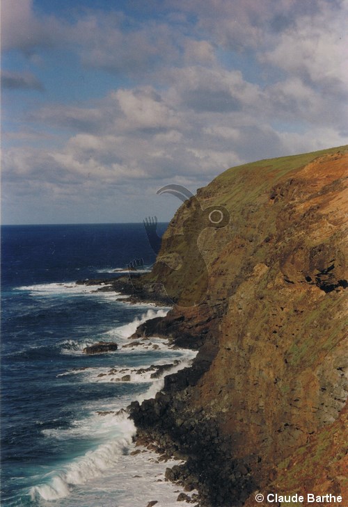 image08