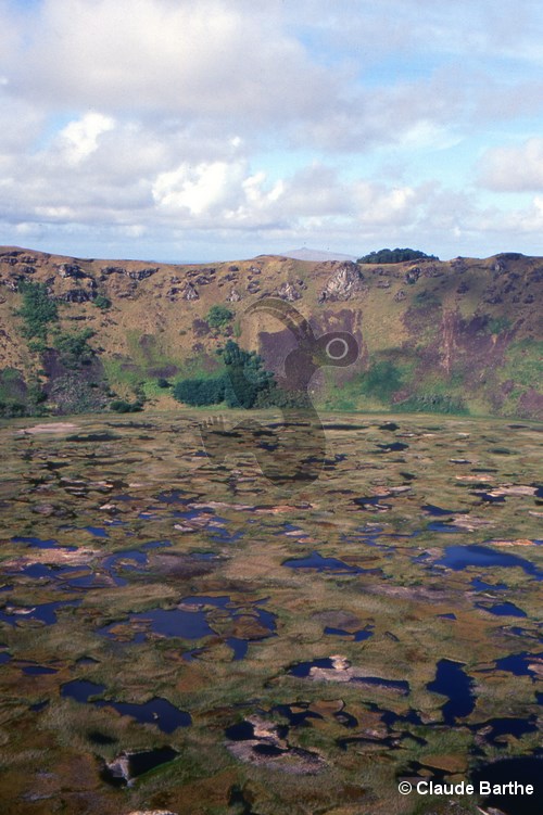 image19
