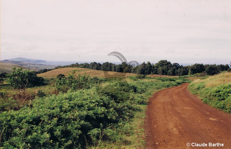 image10