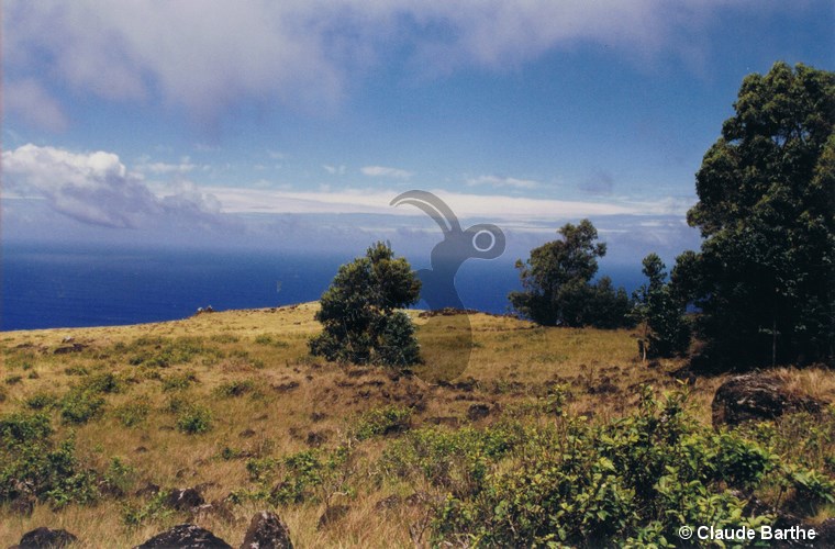 image11