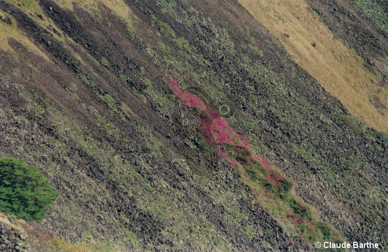 image29
