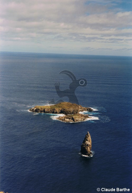 image11