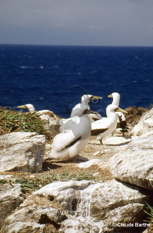 image15