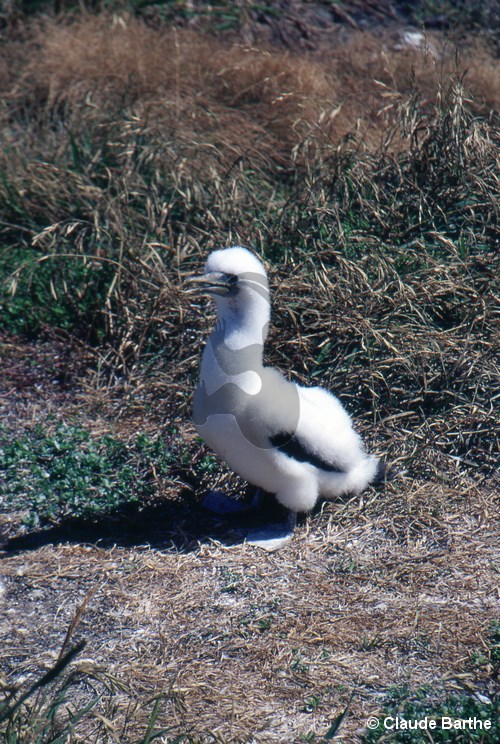 image20