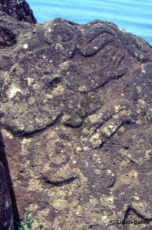 image22