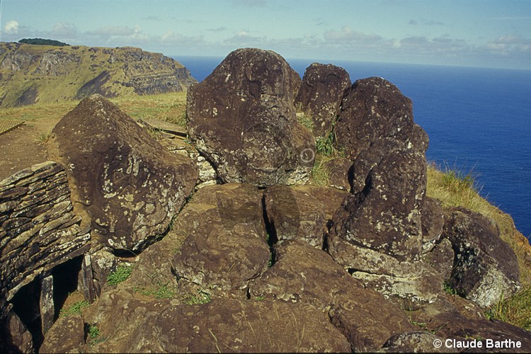 image10