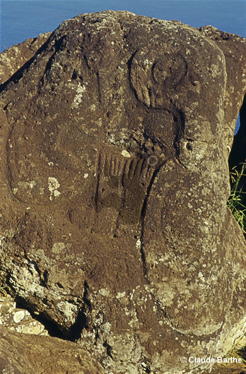 image19