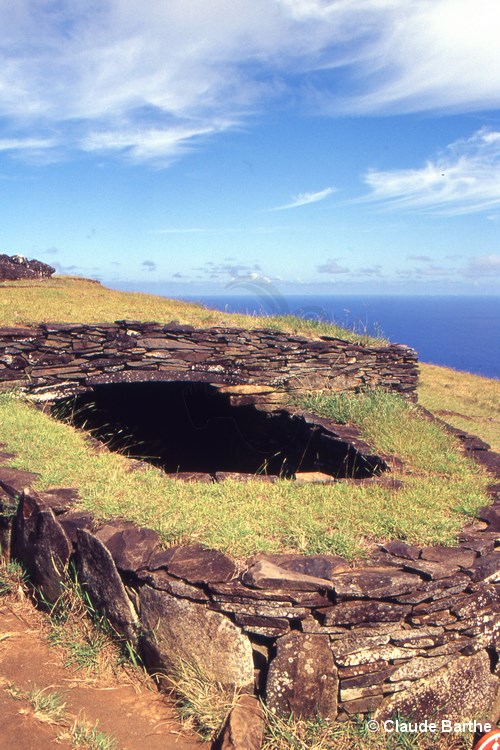 image10