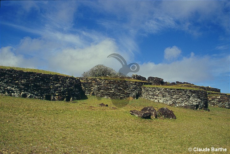 image08