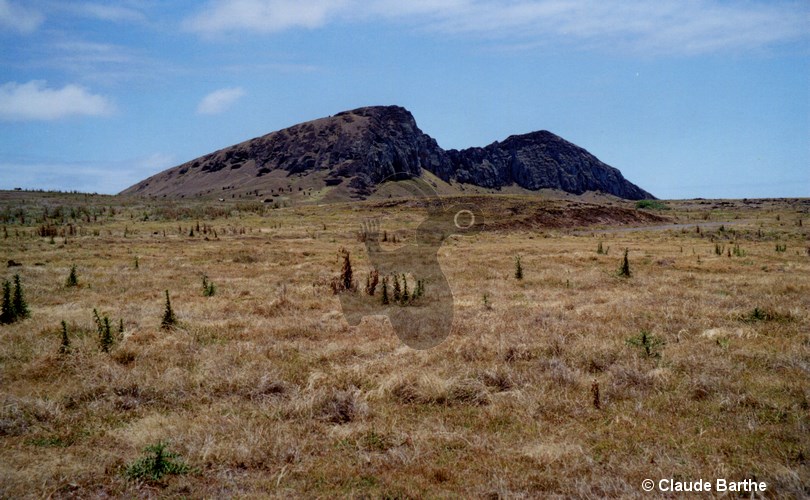 image21