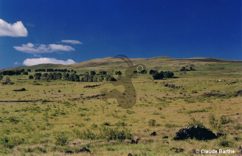 image04