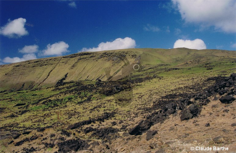 image07