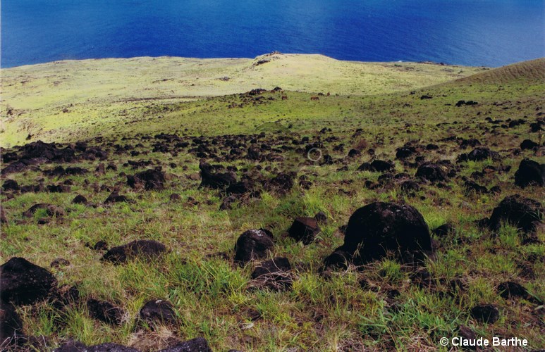 image08