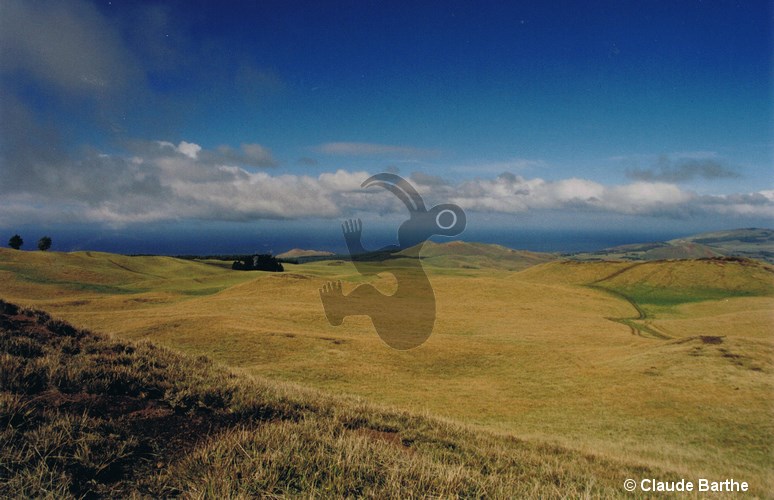 image09