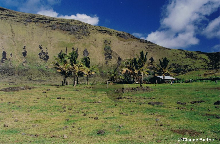 image12