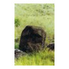 image02