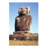 image11