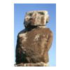 image12
