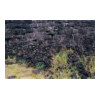 image10