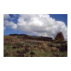 image01