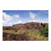 image02