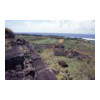 image09