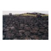 image08