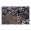 image04