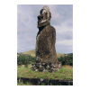 image05