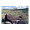 image03