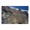 image11