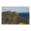 image01