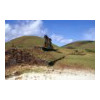 image15