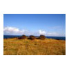 image02