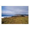 image01