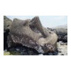 image07