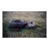 image06