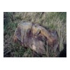 image05