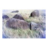 image07