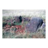 image10