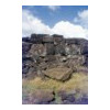 image03