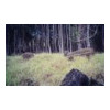 image01