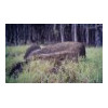 image02
