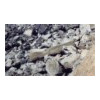 image05