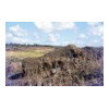 image01