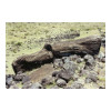 image03